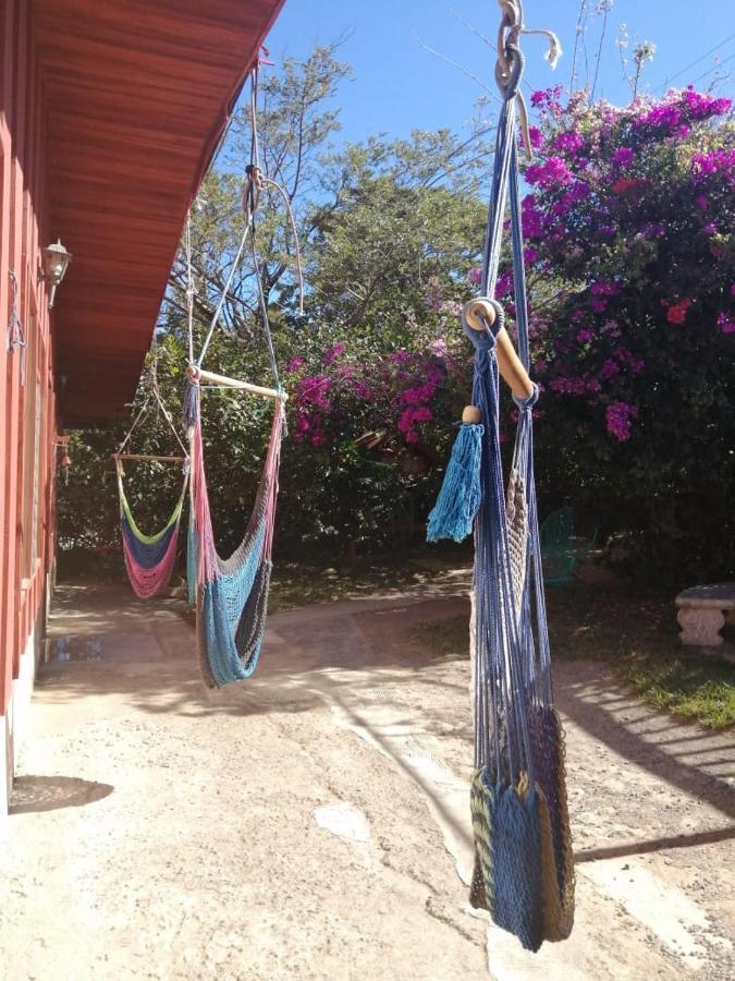 Pension Y Cabinas Colibri B&B Costa Rica Monteverde Екстериор снимка