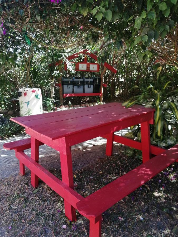 Pension Y Cabinas Colibri B&B Costa Rica Monteverde Екстериор снимка