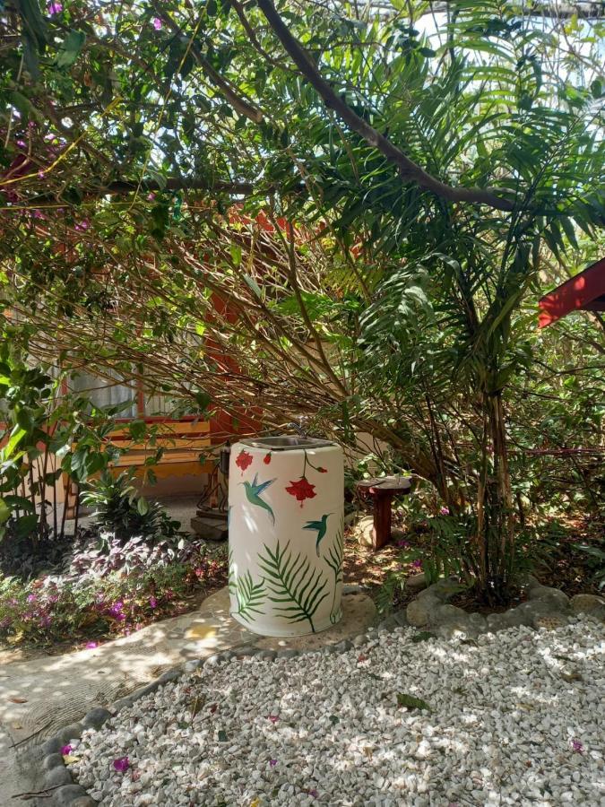 Pension Y Cabinas Colibri B&B Costa Rica Monteverde Екстериор снимка
