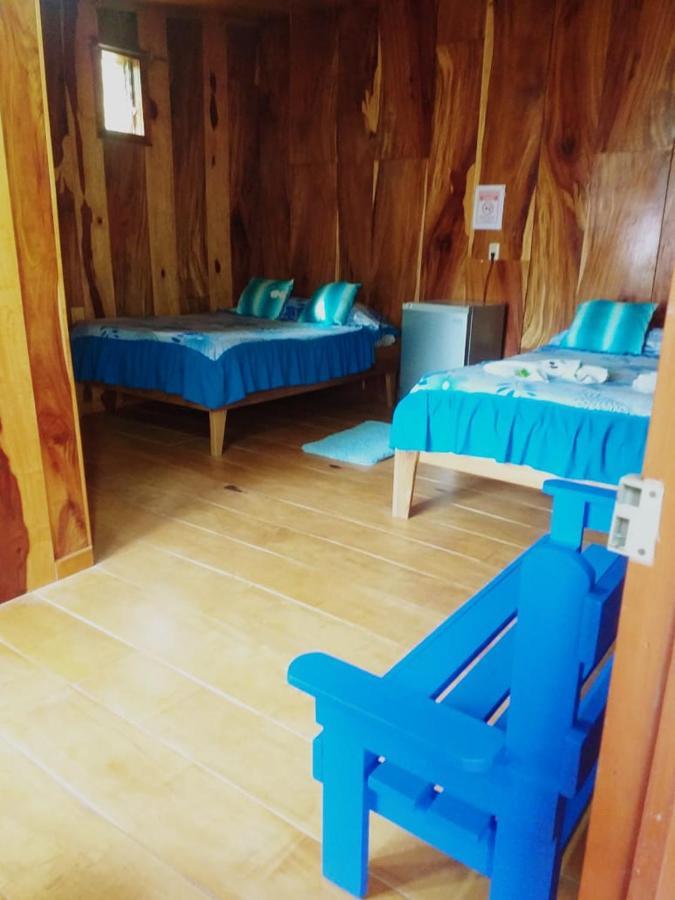 Pension Y Cabinas Colibri B&B Costa Rica Monteverde Екстериор снимка