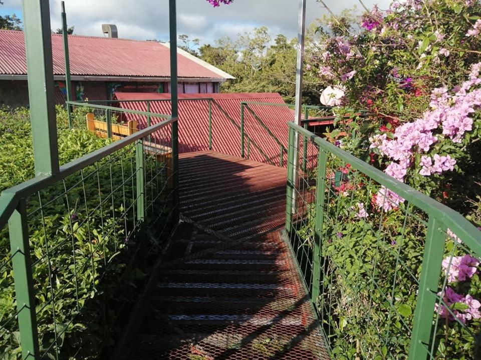 Pension Y Cabinas Colibri B&B Costa Rica Monteverde Екстериор снимка