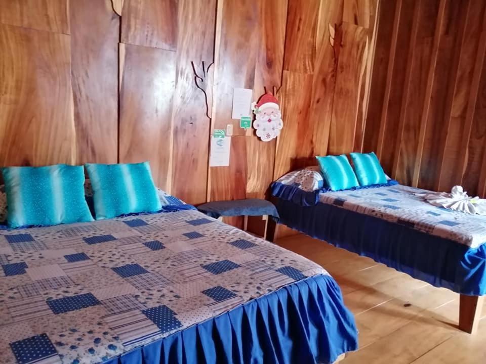 Pension Y Cabinas Colibri B&B Costa Rica Monteverde Екстериор снимка